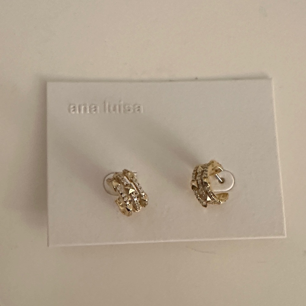 Ana Luisa Hoop Earrings
